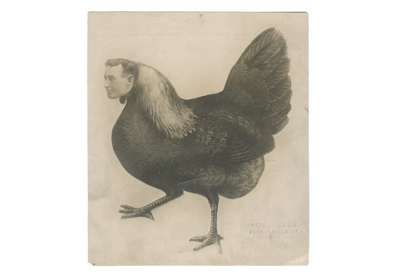 Portrait of the Great Bird Imitator. Warren Woodson. 