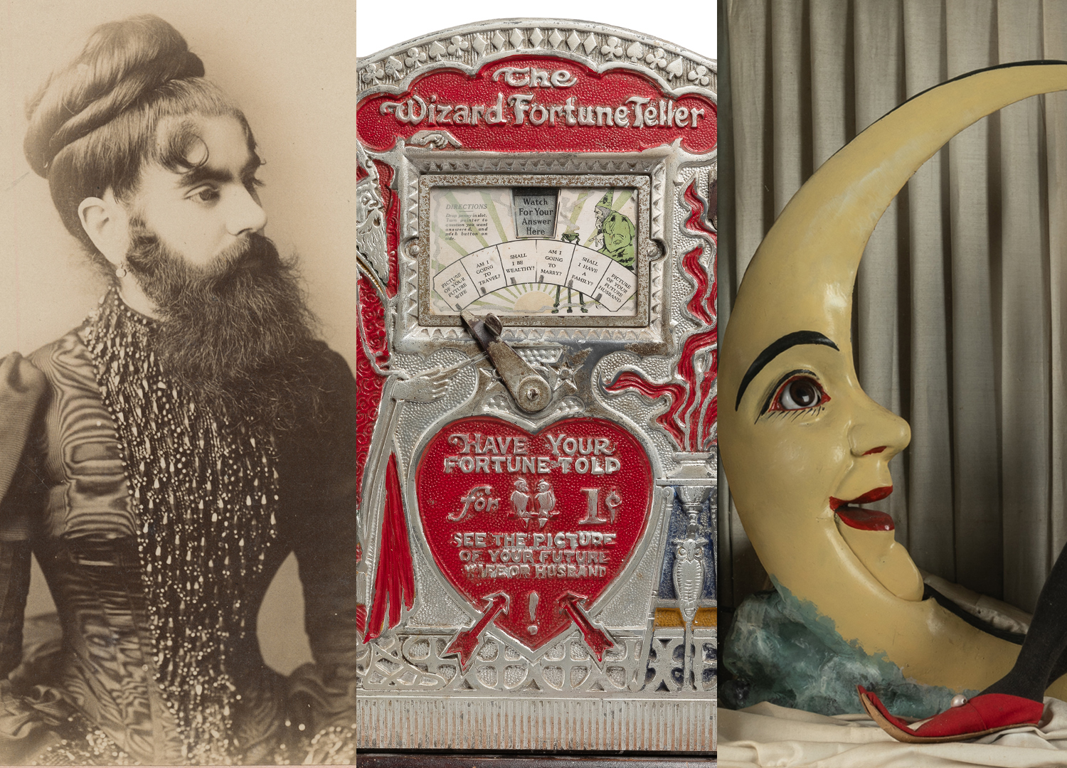 Wunderkammer: The Freeman & Fugate Oddities Collection